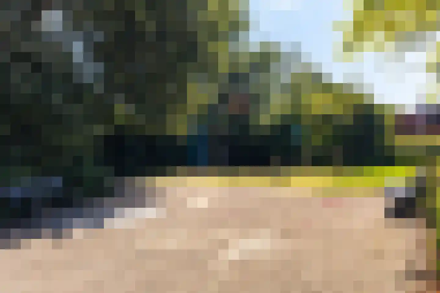 Weegbree 61 Zwaag thumbnail 49