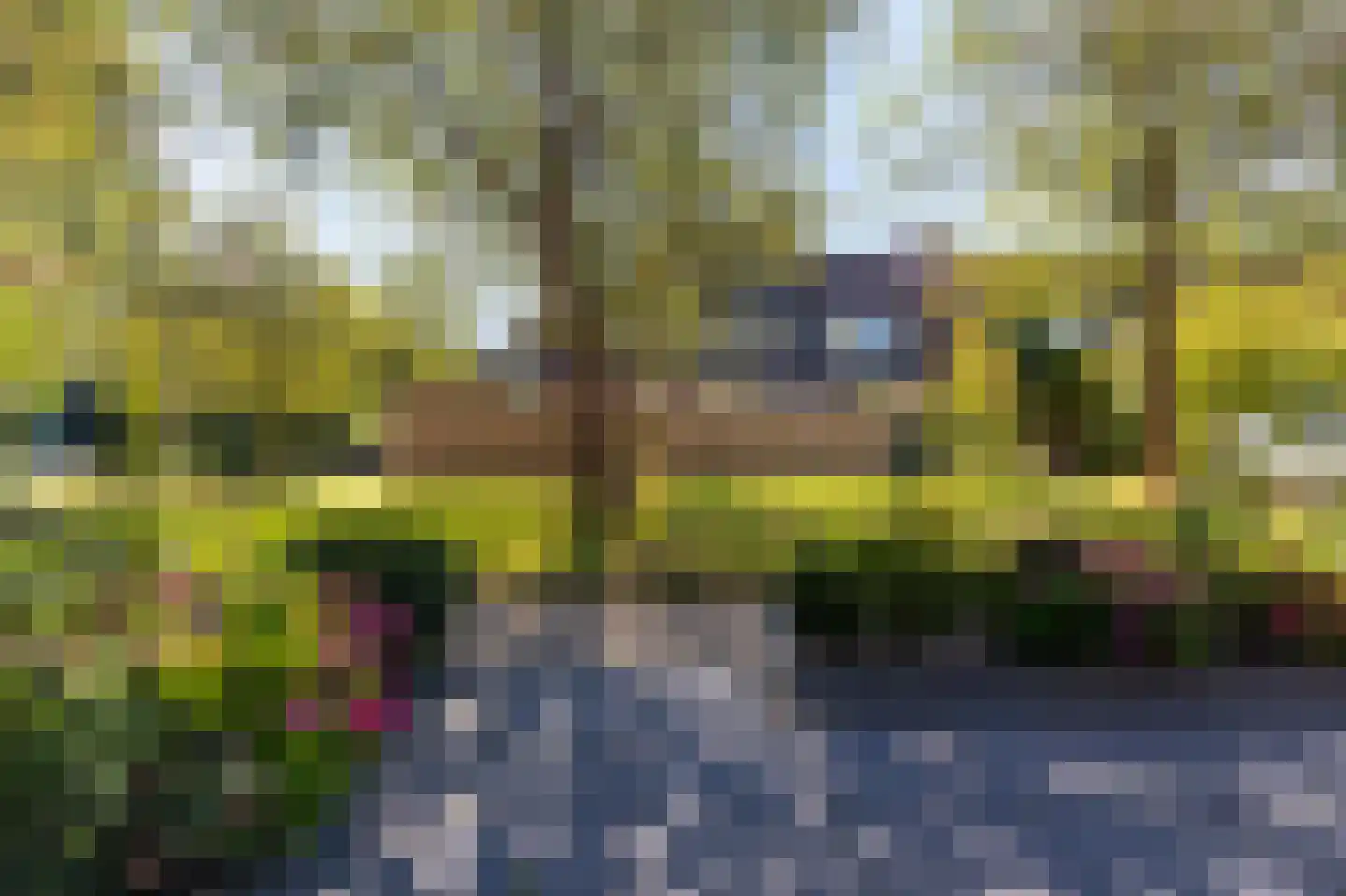 Weegbree 61 Zwaag thumbnail 5
