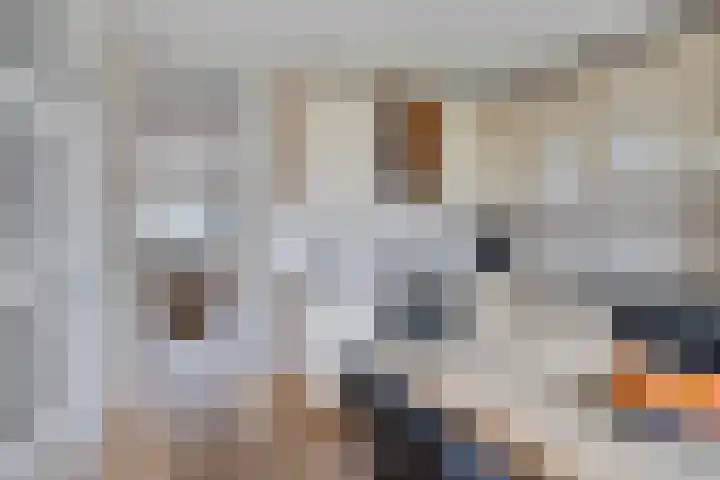 Weegbree 63 's-Hertogenbosch thumbnail 8
