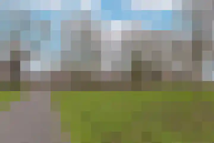 Weegbree 67 Mijdrecht thumbnail 27