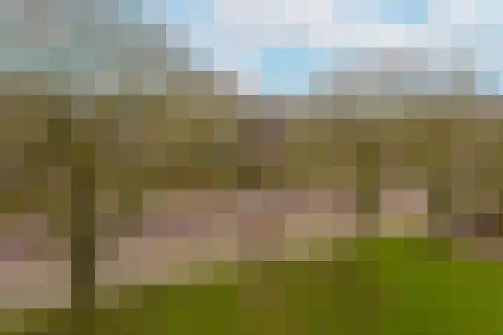 Weegbree 67 Mijdrecht thumbnail 4