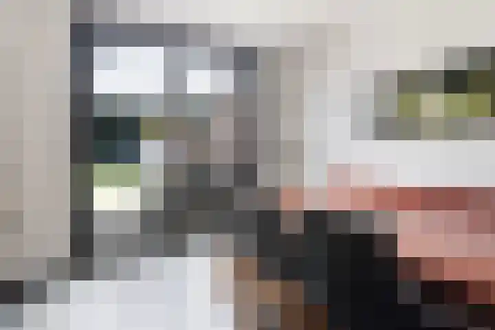 Weegbree 7 Best thumbnail 13