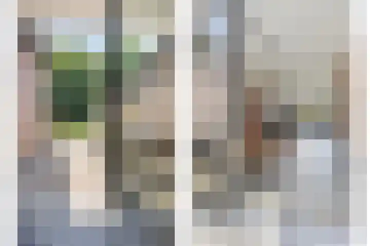 Weegbree 7 Best thumbnail 15