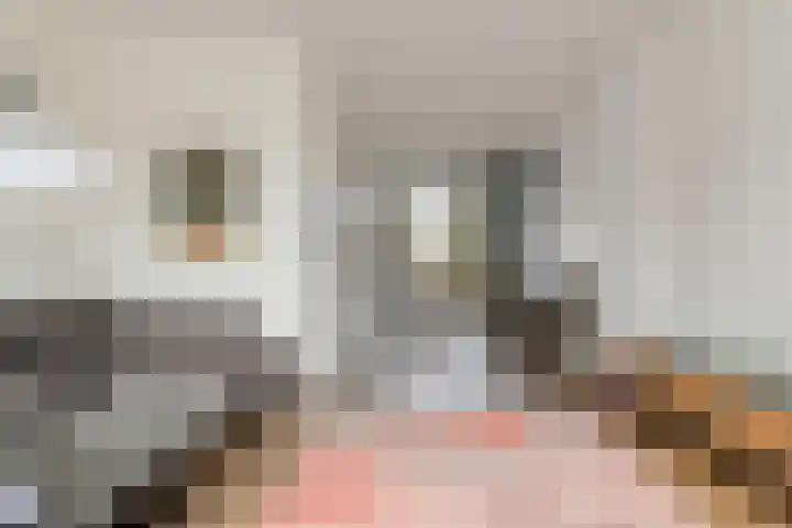 Weegbree 7 Best thumbnail 33