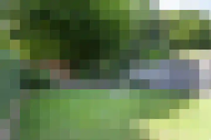 Weegbree 7 Best thumbnail 36