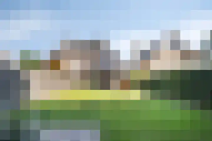 Weegbree 7 Best thumbnail 37