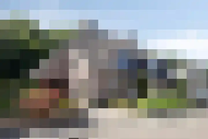 Weegbree 7 Best thumbnail 42