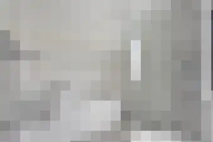 Weegbree 7 Best thumbnail 5