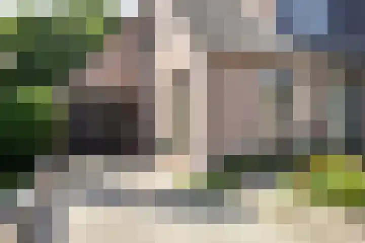 Weegbree 7 Best thumbnail 8