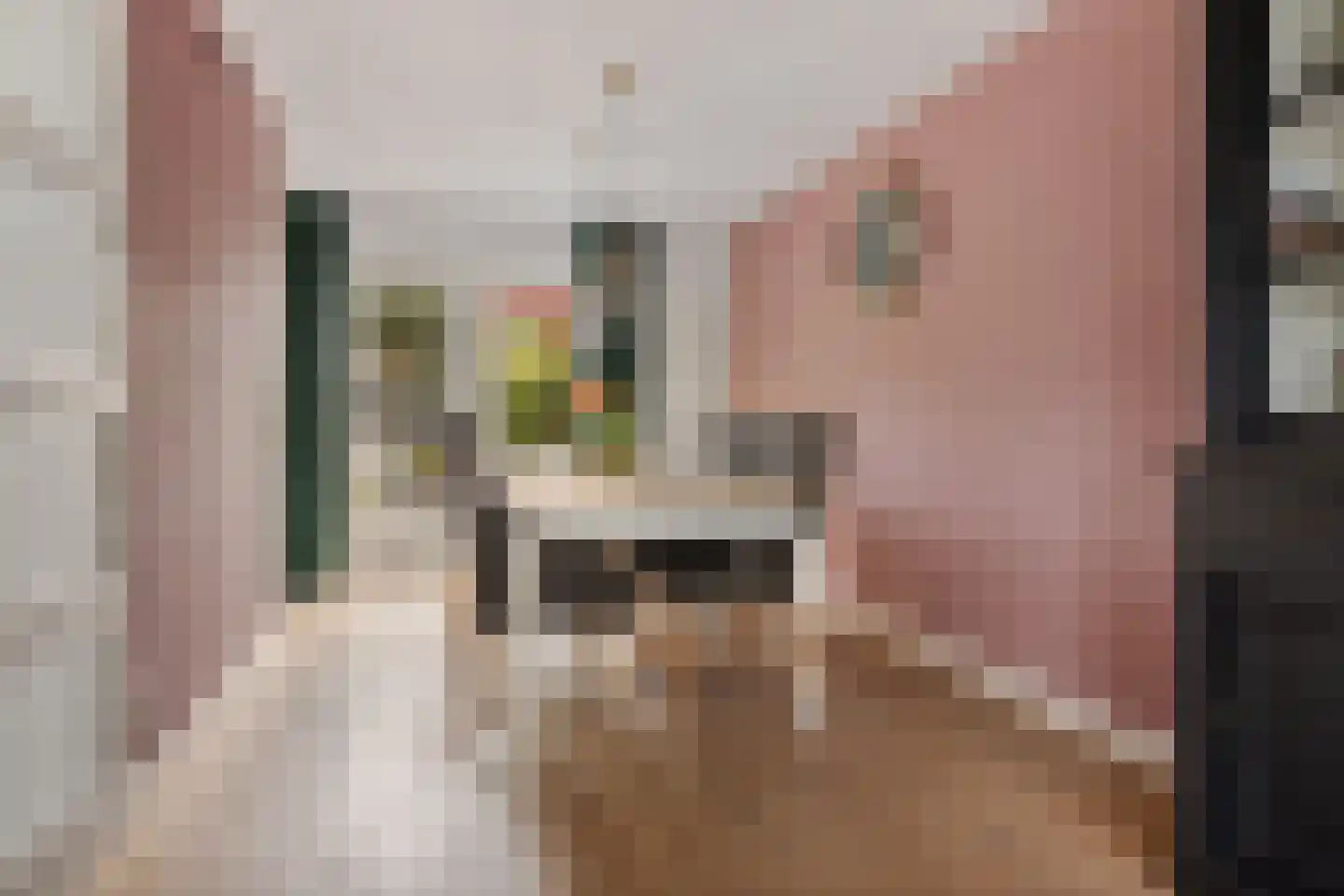Weegbree 7 Delfzijl thumbnail 16