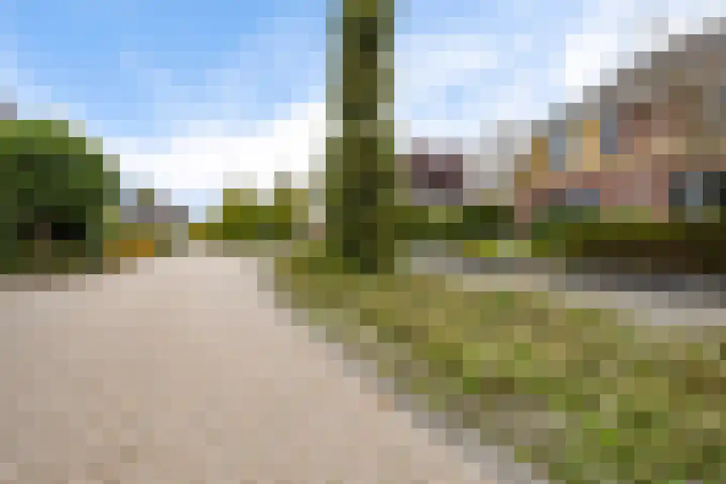 Weegbree 7 Delfzijl thumbnail 7