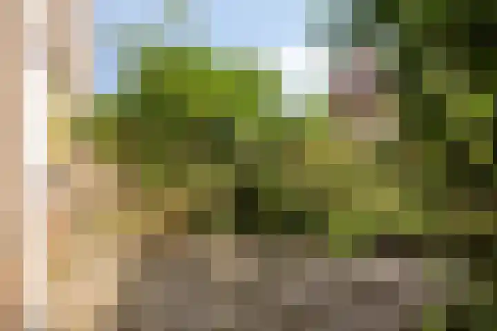Weegbree 7 IJsselstein thumbnail 18