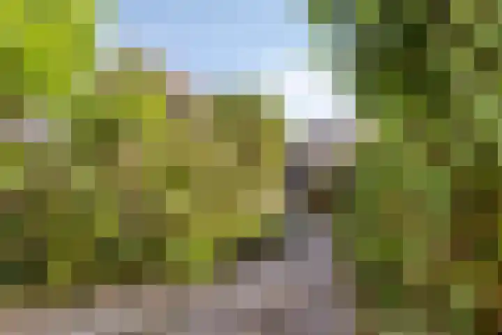 Weegbree 7 IJsselstein thumbnail 19