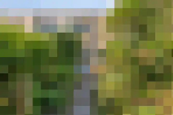 Weegbree 7 IJsselstein thumbnail 20