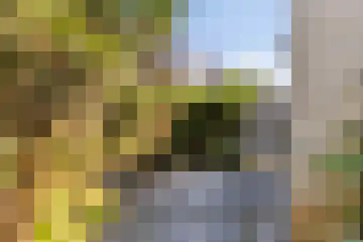 Weegbree 7 IJsselstein thumbnail 21