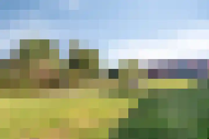 Weegbree 7 IJsselstein thumbnail 22