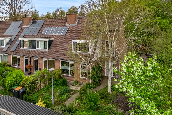 Weegbree 72 in Zwaag Foto