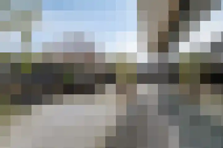 Weegbree 73 Heerhugowaard thumbnail 17