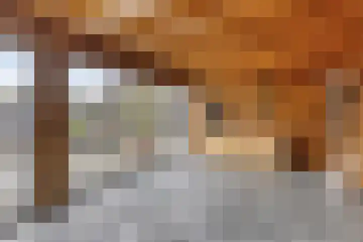 Weegbree 73 Heerhugowaard thumbnail 20