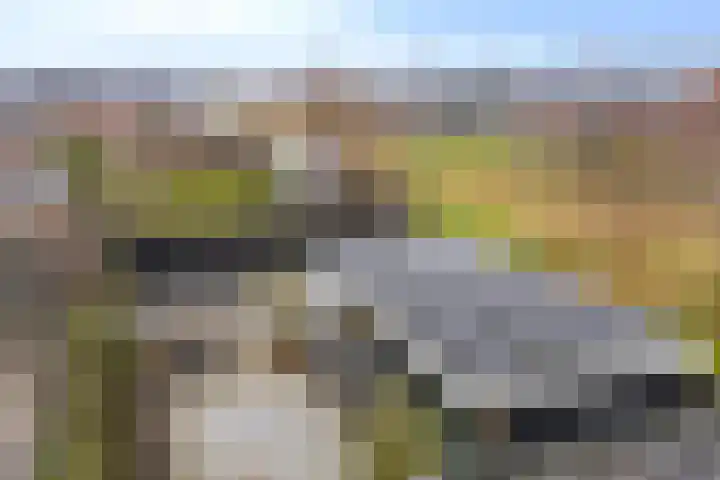 Weegbree 73 Heerhugowaard thumbnail 31