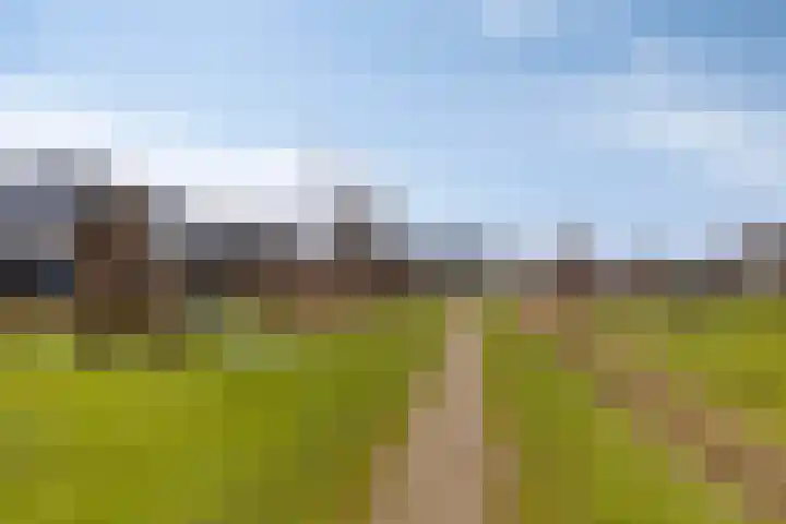 Weegbree 73 Heerhugowaard thumbnail 33