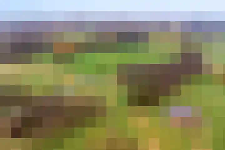 Weegbree 73 Heerhugowaard thumbnail 34