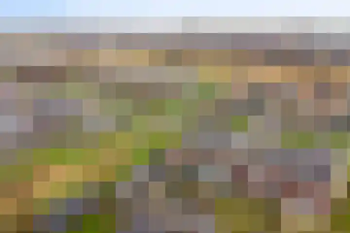 Weegbree 73 Heerhugowaard thumbnail 35
