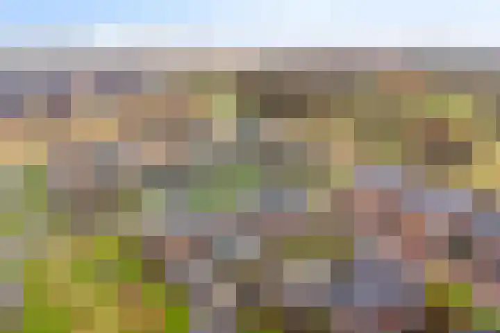 Weegbree 73 Heerhugowaard thumbnail 36
