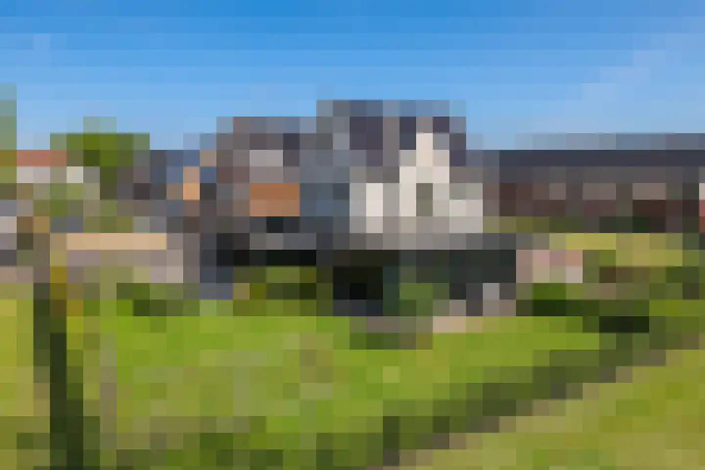 Weegbree 74 Zetten thumbnail 100