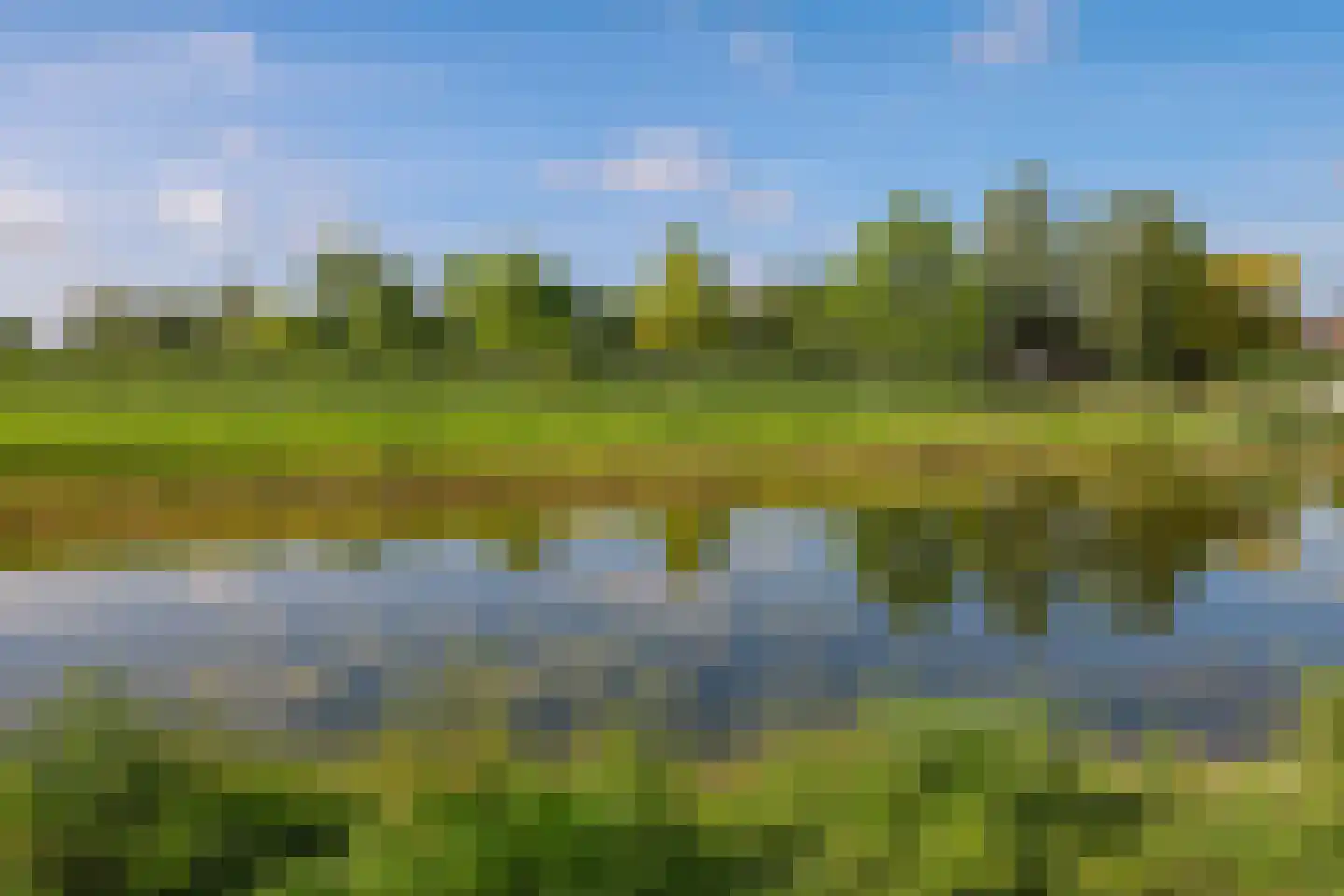 Weegbree 74 Zetten thumbnail 102
