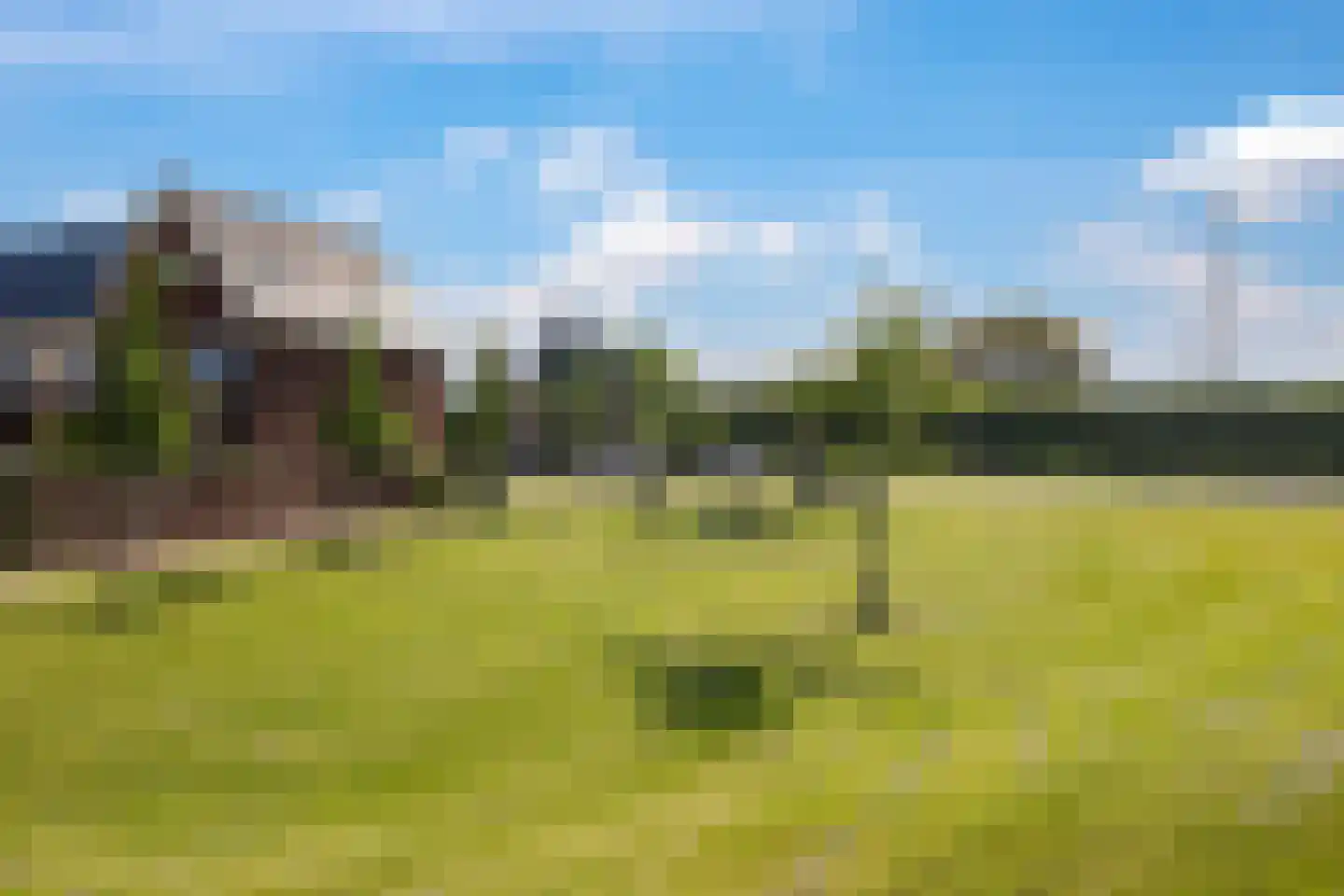 Weegbree 74 Zetten thumbnail 103