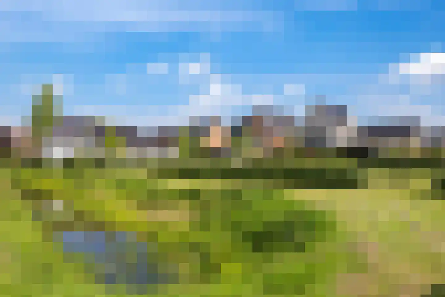 Weegbree 74 Zetten thumbnail 105