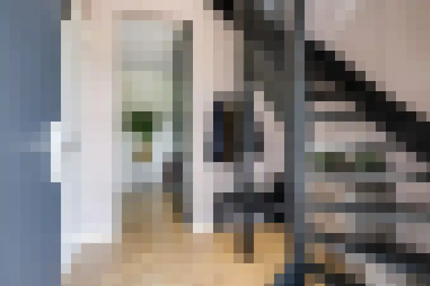 Weegbree 74 Zetten thumbnail 15