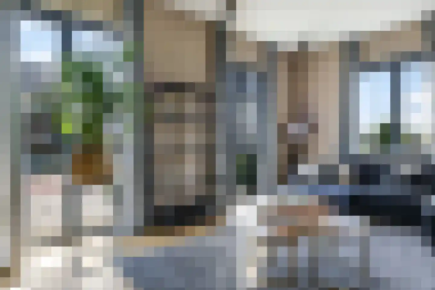 Weegbree 74 Zetten thumbnail 20