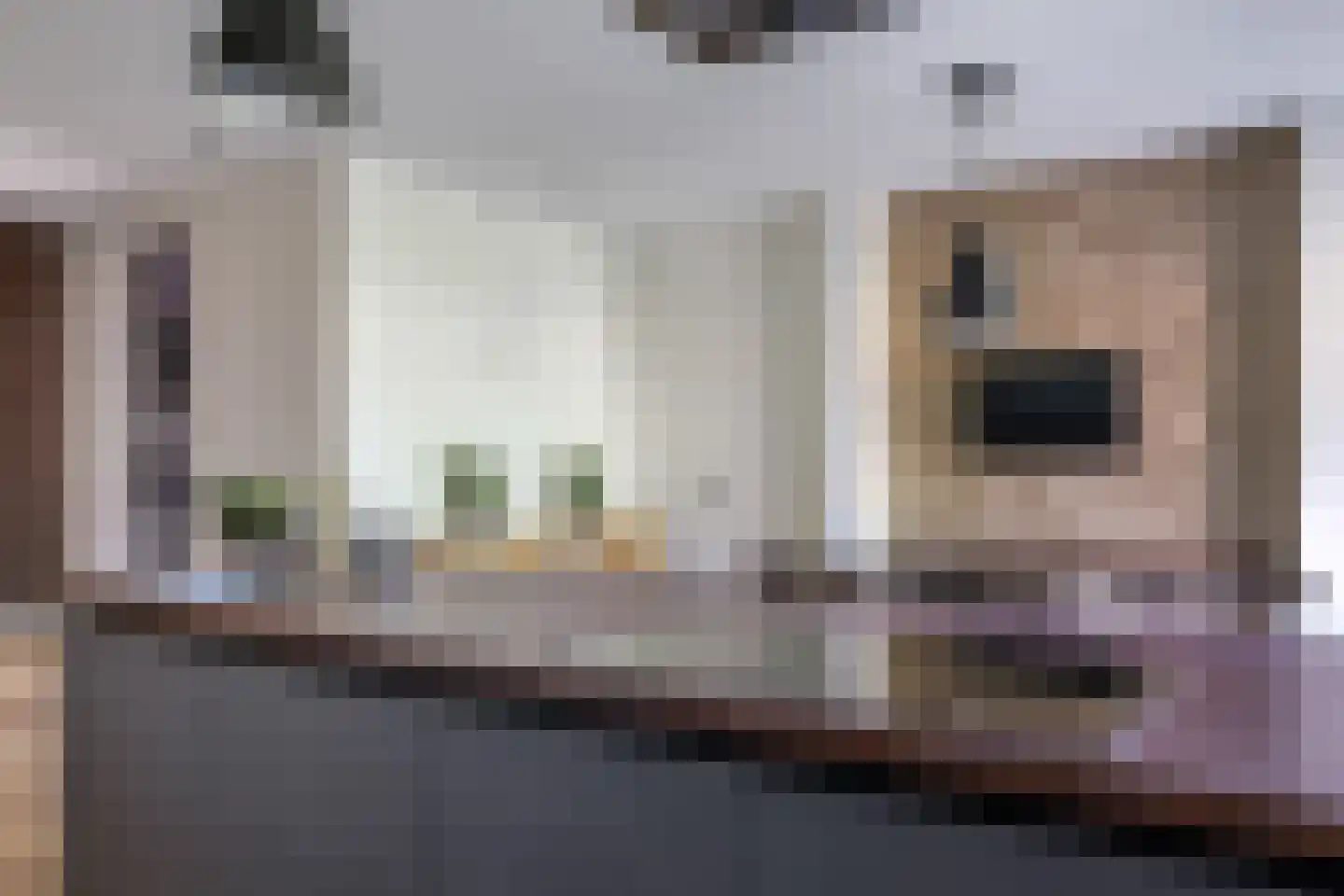 Weegbree 74 Zetten thumbnail 28