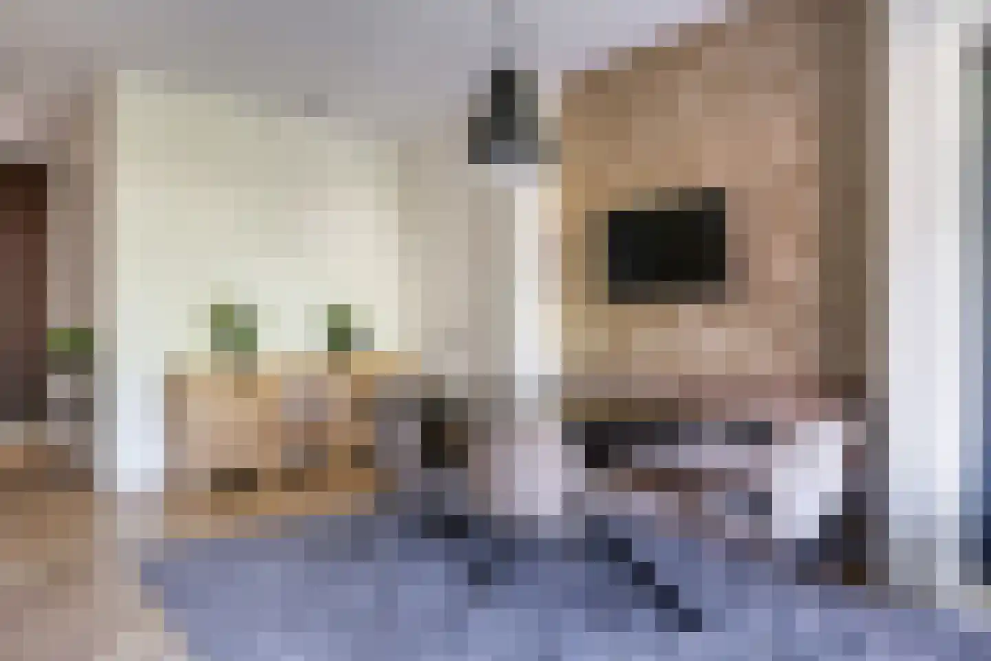 Weegbree 74 Zetten thumbnail 34