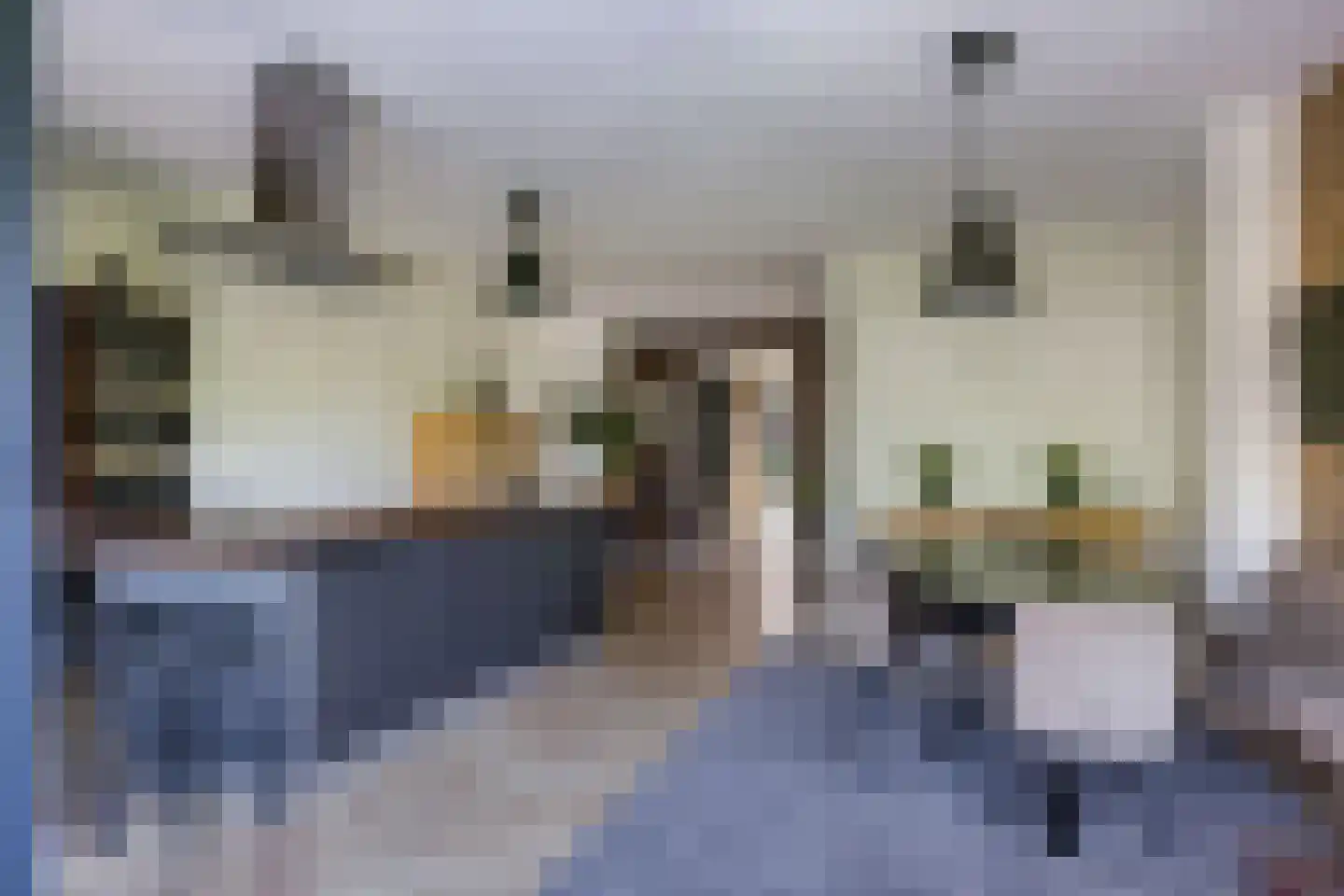 Weegbree 74 Zetten thumbnail 37