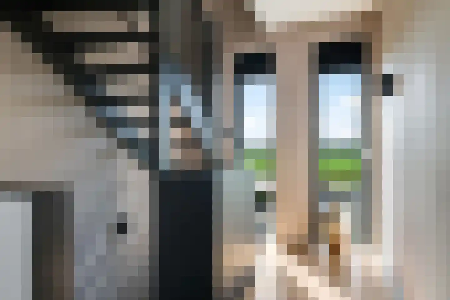 Weegbree 74 Zetten thumbnail 4