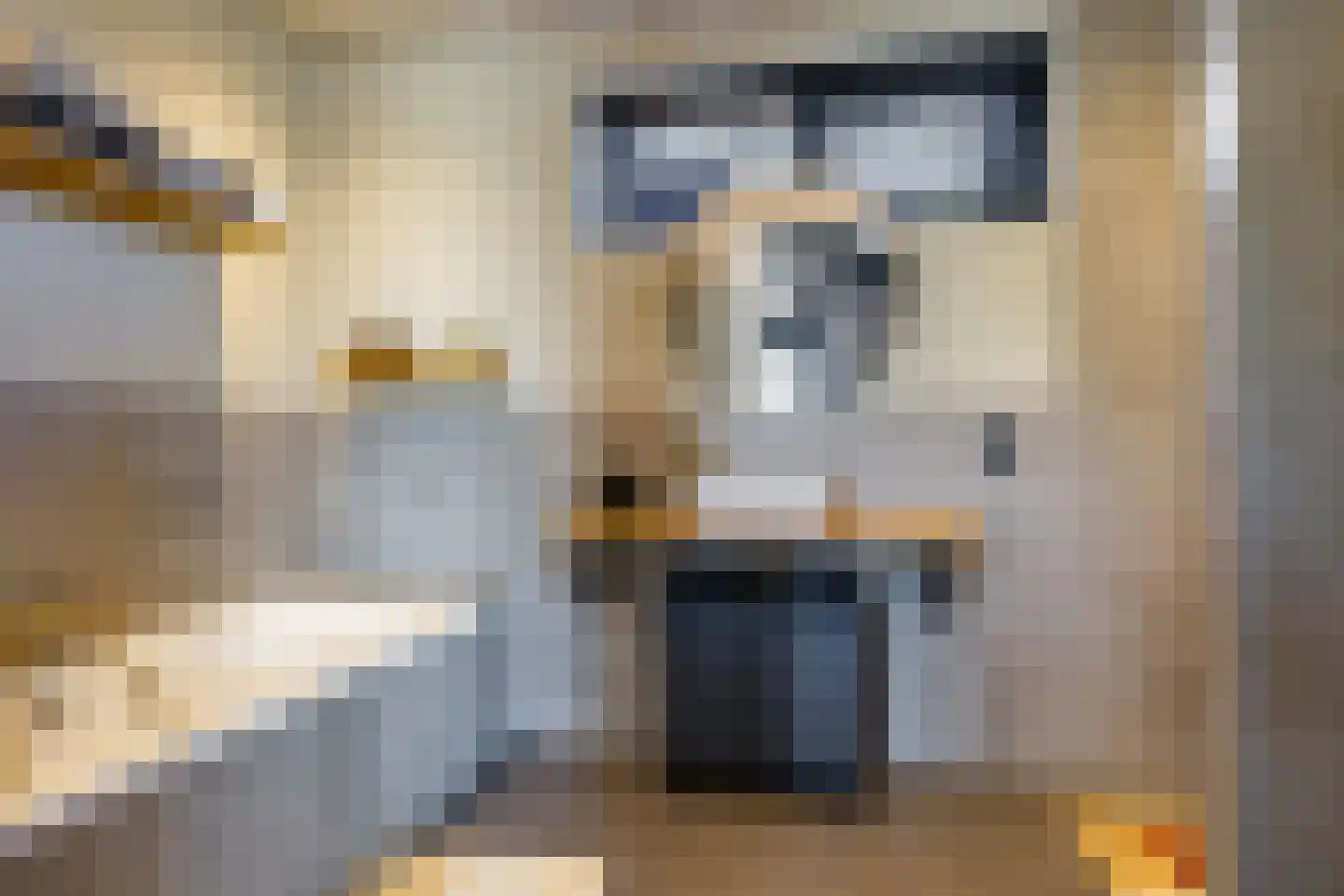 Weegbree 74 Zetten thumbnail 46