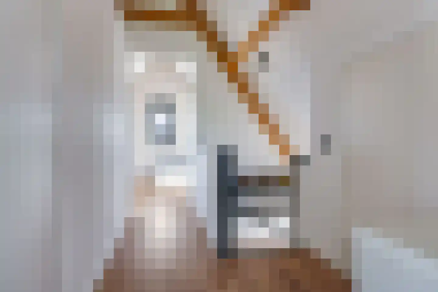 Weegbree 74 Zetten thumbnail 57