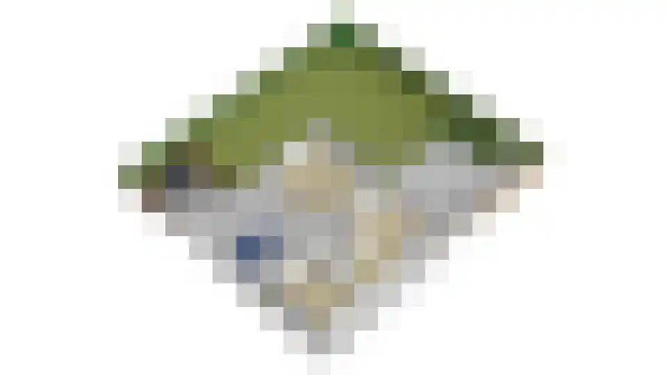 Weegbree 74 Zetten thumbnail 68
