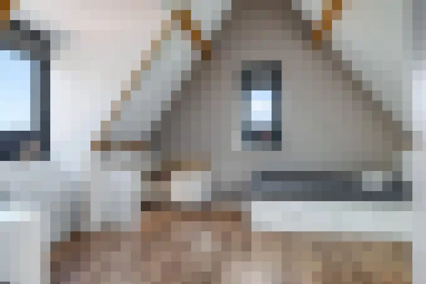 Weegbree 74 Zetten thumbnail 7