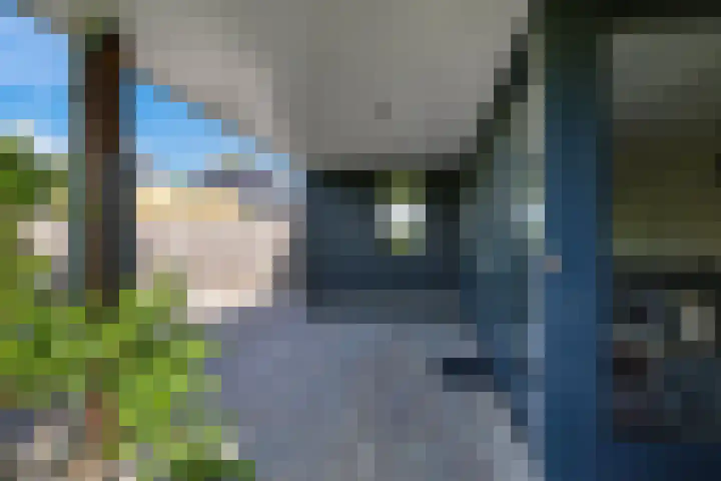 Weegbree 74 Zetten thumbnail 73