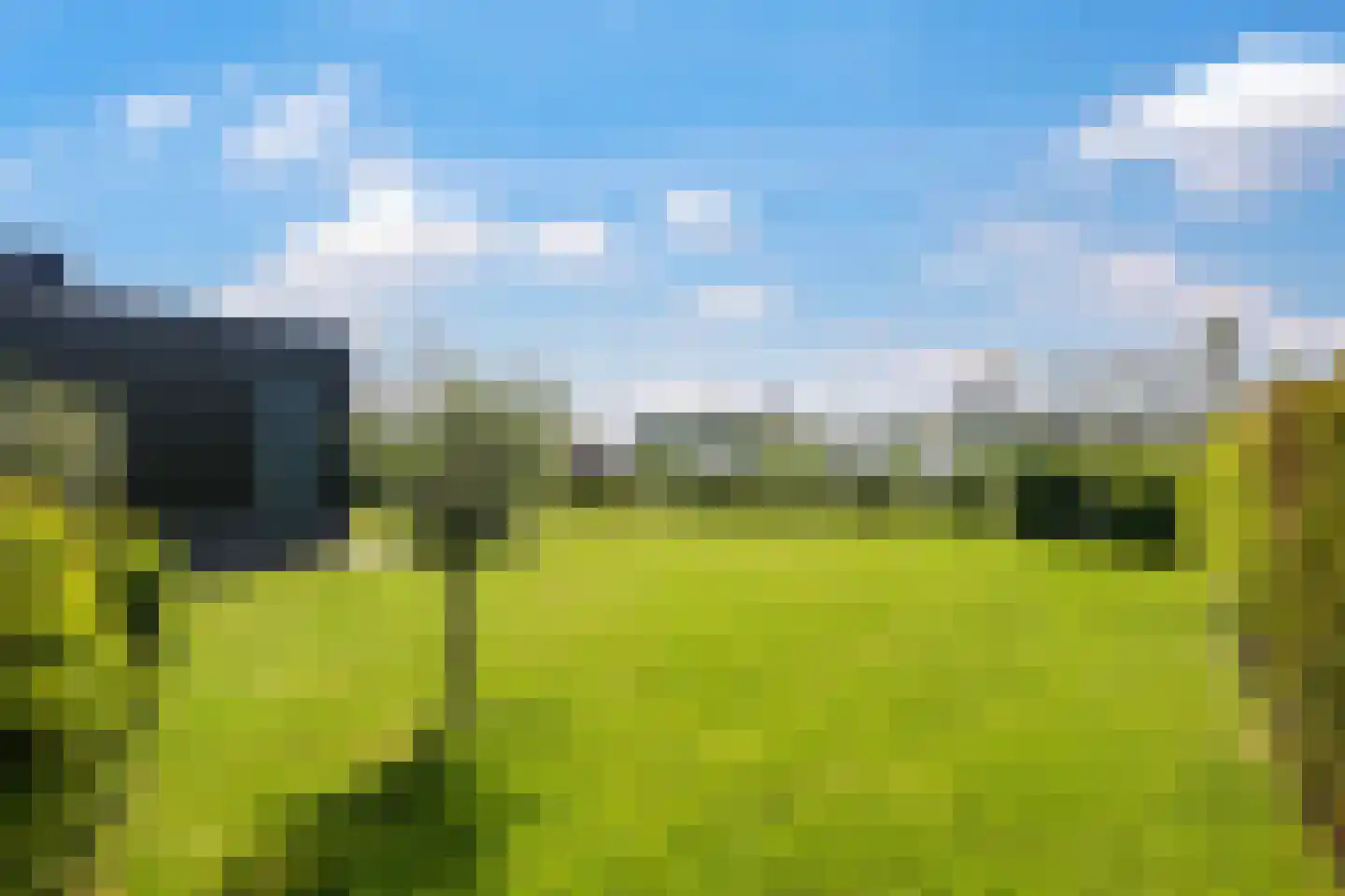 Weegbree 74 Zetten thumbnail 77