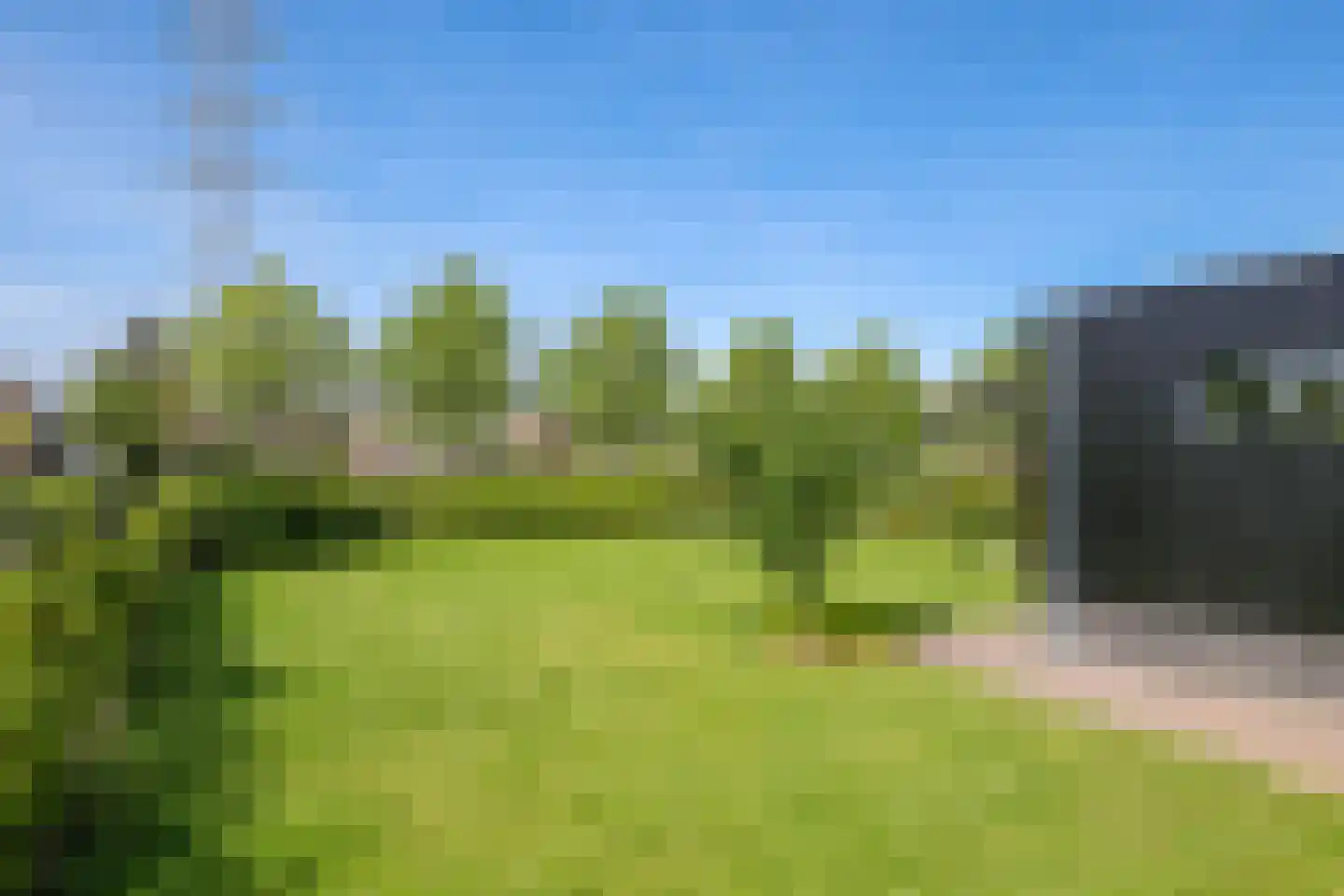 Weegbree 74 Zetten thumbnail 78