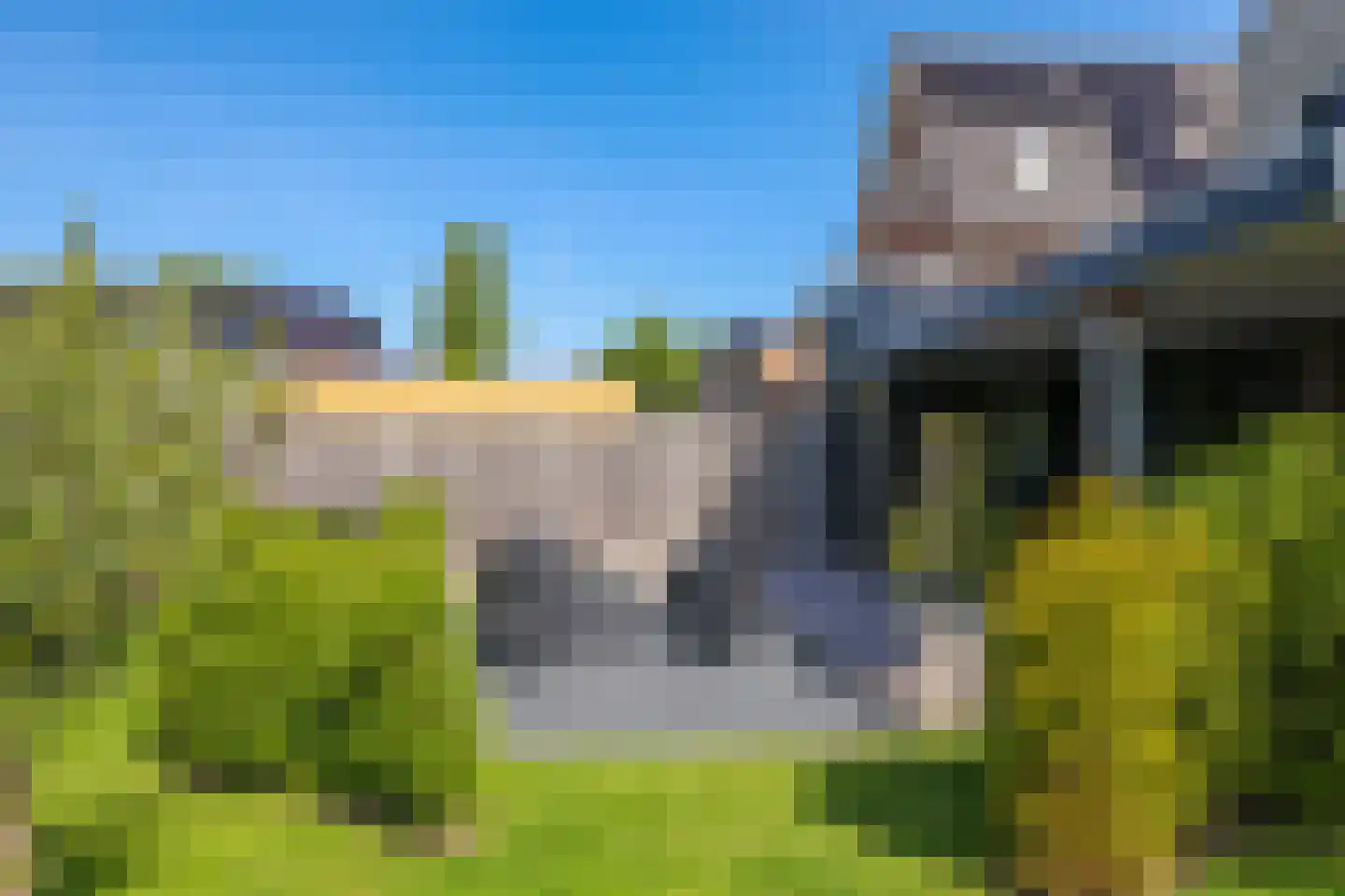 Weegbree 74 Zetten thumbnail 79