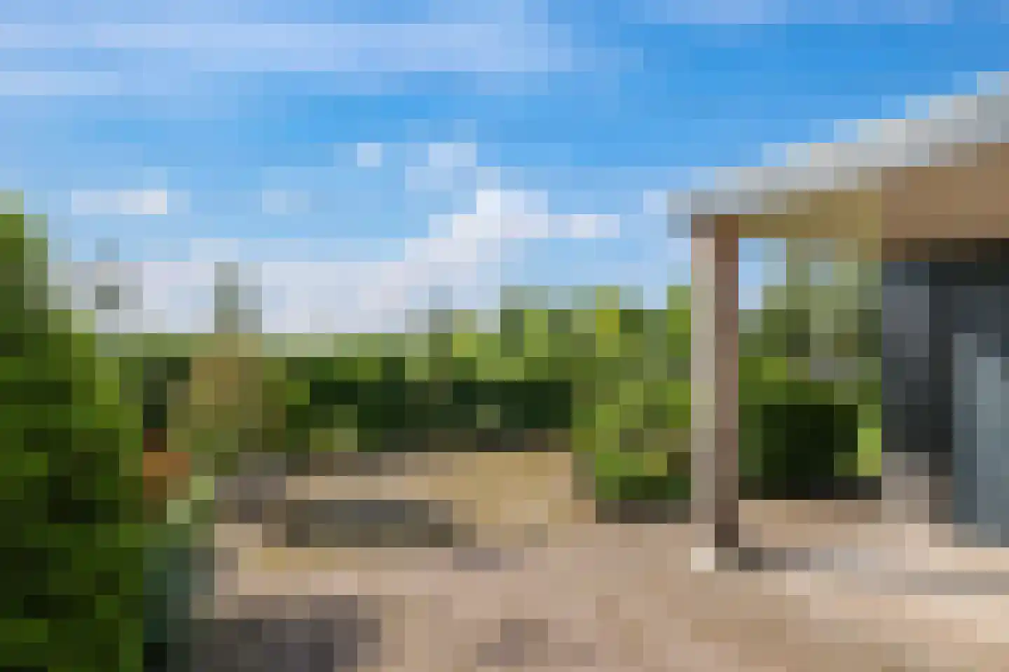 Weegbree 74 Zetten thumbnail 90