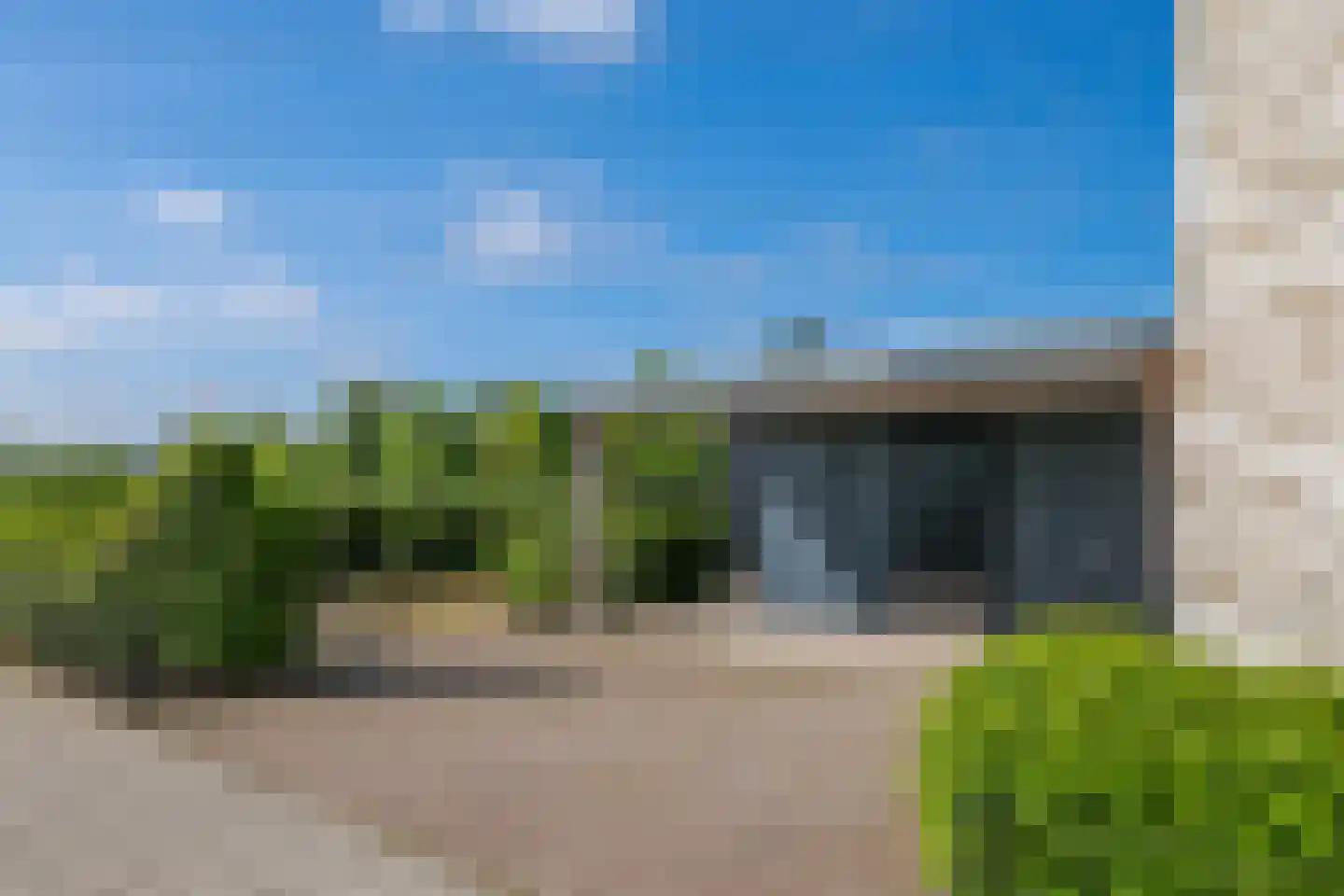 Weegbree 74 Zetten thumbnail 91
