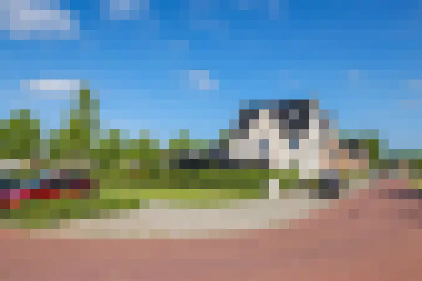 Weegbree 74 Zetten thumbnail 97