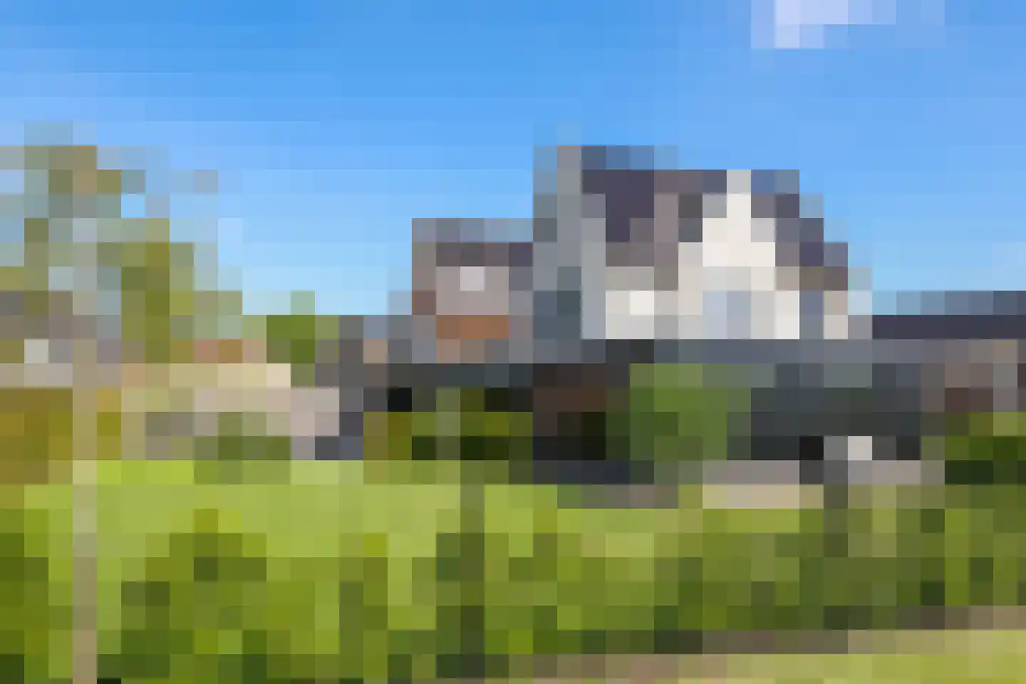 Weegbree 74 Zetten thumbnail 99